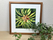 Carregar imagem no visualizador da galeria, Ilustração Bromélia, Planta Tropical, Floresta, Quadro, Decoração, Reprodução Original, Edição Limitada, Número de série, Fineart, Giclée