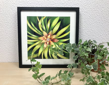 Carregar imagem no visualizador da galeria, Ilustração Bromélia, Planta Tropical, Floresta, Quadro, Decoração, Reprodução Original, Edição Limitada, Número de série, Fineart, Giclée