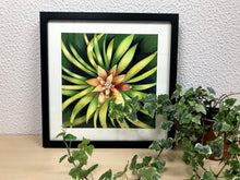Carregar imagem no visualizador da galeria, Ilustração Bromélia, Planta Tropical, Floresta, Quadro, Decoração, Reprodução Original, Edição Limitada, Número de série, Fineart, Giclée