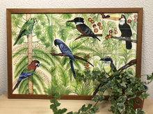 Carregar imagem no visualizador da galeria, Ilustração Pássaros, Quadro, Decoração, Reprodução do Original, Gravura, Giclée, Edição Limitada, Número de série, Painel, Aves, Pintura