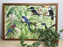 Carregar imagem no visualizador da galeria, Ilustração Pássaros, Quadro, Decoração, Reprodução do Original, Gravura, Giclée, Edição Limitada, Número de série, Painel, Aves, Pintura