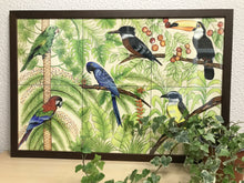 Carregar imagem no visualizador da galeria, Ilustração Pássaros, Quadro, Decoração, Reprodução do Original, Gravura, Giclée, Edição Limitada, Número de série, Painel, Aves, Pintura