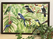 Carregar imagem no visualizador da galeria, Ilustração Pássaros, Quadro, Decoração, Reprodução do Original, Gravura, Giclée, Edição Limitada, Número de série, Painel, Aves, Pintura