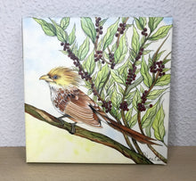 Carregar imagem no visualizador da galeria, Quadro com Pintura pássaro, Anú - Branco, Tela impressa pássaro, Quadro, Tela, Impressão em Tela, Arte, Natureza, Floresta, Pássaros, Aves