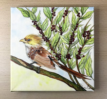 Carregar imagem no visualizador da galeria, Quadro com Pintura pássaro, Anú - Branco, Tela impressa pássaro, Quadro, Tela, Impressão em Tela, Arte, Natureza, Floresta, Pássaros, Aves