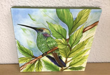 Carregar imagem no visualizador da galeria, Quadro com Pintura pássaro, Beija-Flor, Tela impressa pássaro, Quadro, Tela, Impressão em Tela, Arte, Natureza, Floresta, Pássaros, Aves