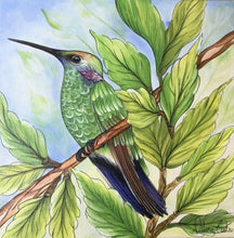 Carregar imagem no visualizador da galeria, Quadro com Pintura pássaro, Beija-Flor, Tela impressa pássaro, Quadro, Tela, Impressão em Tela, Arte, Natureza, Floresta, Pássaros, Aves