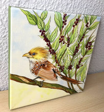Carregar imagem no visualizador da galeria, Quadro com Pintura pássaro, Anú - Branco, Tela impressa pássaro, Quadro, Tela, Impressão em Tela, Arte, Natureza, Floresta, Pássaros, Aves