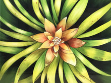Carregar imagem no visualizador da galeria, Ilustração Bromélia, Planta Tropical, Floresta, Quadro, Decoração, Reprodução Original, Edição Limitada, Número de série, Fineart, Giclée