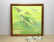 Carregar imagem no visualizador da galeria, Ilustração Tartarugas, Tartarugas marinhas, Quadro, Decoração, Reprodução do Original, Edição Limitada, Número de série, Fine Art, Decor