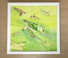 Carregar imagem no visualizador da galeria, Ilustração Tartarugas, Tartarugas marinhas, Quadro, Decoração, Reprodução do Original, Edição Limitada, Número de série, Fine Art, Decor