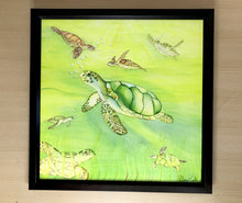 Carregar imagem no visualizador da galeria, Ilustração Tartarugas, Tartarugas marinhas, Quadro, Decoração, Reprodução do Original, Edição Limitada, Número de série, Fine Art, Decor