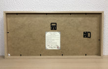 Carregar imagem no visualizador da galeria, Quadro com ilustração, com Moldura, Cactos, Pop Art, Decoração, Arte para Pendura, Papel Fotografico, reprodução, Arte Impressa, Giclée