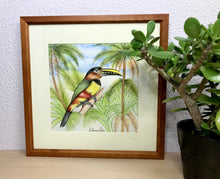 Carregar imagem no visualizador da galeria, Ilustração Araçarí, Pintura Pássaro, Quadro, Natureza, Decoração, Reprodução Original, Edição Limitada, Número de série, Fineart, Giclée
