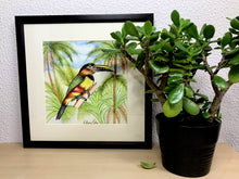 Carregar imagem no visualizador da galeria, Ilustração Araçarí, Pintura Pássaro, Quadro, Natureza, Decoração, Reprodução Original, Edição Limitada, Número de série, Fineart, Giclée
