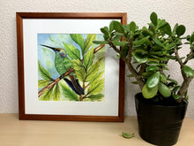 Carregar imagem no visualizador da galeria, Ilustração Beija-flôr, Pintura Pássaro, Quadro, Natureza, Decoração, Reprodução Original, Edição Limitada, Número de série, Fineart, Giclée
