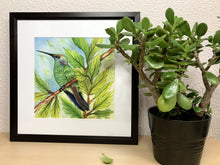 Carregar imagem no visualizador da galeria, Ilustração Beija-flôr, Pintura Pássaro, Quadro, Natureza, Decoração, Reprodução Original, Edição Limitada, Número de série, Fineart, Giclée