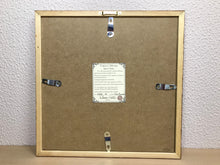 Carregar imagem no visualizador da galeria, Ilustração Anú-Branco, Pintura Pássaro, Quadro, Natureza, Decoração, Reprodução Original, Edição Limitada, Número de série, Fineart, Giclée