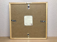 Carregar imagem no visualizador da galeria, Ilustração Bromélia, Planta Tropical, Floresta, Quadro, Decoração, Reprodução Original, Edição Limitada, Número de série, Fineart, Giclée