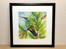 Carregar imagem no visualizador da galeria, Ilustração Beija-flôr, Pintura Pássaro, Quadro, Natureza, Decoração, Reprodução Original, Edição Limitada, Número de série, Fineart, Giclée