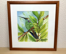 Carregar imagem no visualizador da galeria, Ilustração Beija-flôr, Pintura Pássaro, Quadro, Natureza, Decoração, Reprodução Original, Edição Limitada, Número de série, Fineart, Giclée