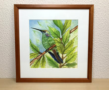 Carregar imagem no visualizador da galeria, Ilustração Beija-flôr, Pintura Pássaro, Quadro, Natureza, Decoração, Reprodução Original, Edição Limitada, Número de série, Fineart, Giclée