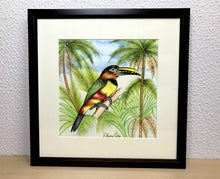 Carregar imagem no visualizador da galeria, Ilustração Araçarí, Pintura Pássaro, Quadro, Natureza, Decoração, Reprodução Original, Edição Limitada, Número de série, Fineart, Giclée