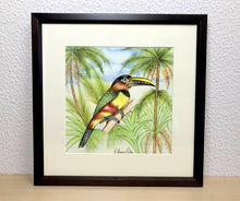 Carregar imagem no visualizador da galeria, Ilustração Araçarí, Pintura Pássaro, Quadro, Natureza, Decoração, Reprodução Original, Edição Limitada, Número de série, Fineart, Giclée