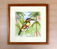 Carregar imagem no visualizador da galeria, Ilustração Araçarí, Pintura Pássaro, Quadro, Natureza, Decoração, Reprodução Original, Edição Limitada, Número de série, Fineart, Giclée