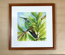 Carregar imagem no visualizador da galeria, Ilustração Beija-flôr, Pintura Pássaro, Quadro, Natureza, Decoração, Reprodução Original, Edição Limitada, Número de série, Fineart, Giclée