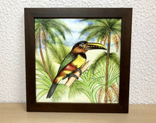 Carregar imagem no visualizador da galeria, Ilustração Araçarí, Pintura Pássaro, Quadro, Natureza, Decoração, Reprodução Original, Edição Limitada, Número de série, Fineart, Giclée