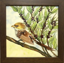 Carregar imagem no visualizador da galeria, Ilustração Anú-Branco, Pintura Pássaro, Quadro de pássaro, Decoração, Reprodução, Arte, Edição Limitada, Número de série, Papel Fotografia