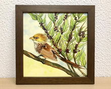 Carregar imagem no visualizador da galeria, Ilustração Anú-Branco, Pintura Pássaro, Quadro, Natureza, Decoração, Reprodução Original, Edição Limitada, Número de série, Fineart, Giclée