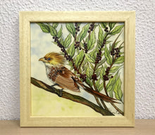 Carregar imagem no visualizador da galeria, Ilustração Anú-Branco, Pintura Pássaro, Quadro de pássaro, Decoração, Reprodução, Arte, Edição Limitada, Número de série, Papel Fotografia