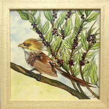 Carregar imagem no visualizador da galeria, Ilustração Anú-Branco, Pintura Pássaro, Quadro, Natureza, Decoração, Reprodução Original, Edição Limitada, Número de série, Fineart, Giclée