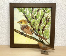 Carregar imagem no visualizador da galeria, Ilustração Anú-Branco, Pintura Pássaro, Quadro, Natureza, Decoração, Reprodução Original, Edição Limitada, Número de série, Fineart, Giclée