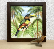 Carregar imagem no visualizador da galeria, Ilustração Araçarí, Pintura Pássaro, Quadro, Natureza, Decoração, Reprodução Original, Edição Limitada, Número de série, Fineart, Giclée