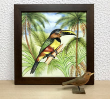 Carregar imagem no visualizador da galeria, Ilustração Araçarí, Pintura Pássaro, Quadro de pássaro, Decoração, Reprodução, Arte, Edição Limitada, Número de série, Papel Fotografia