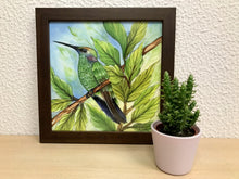 Carregar imagem no visualizador da galeria, Ilustração Beija-flôr, Pintura Pássaro, Quadro de pássaro, Decoração, Reprodução, Arte, Edição Limitada, Número de série, Papel Fotografia