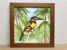 Carregar imagem no visualizador da galeria, Ilustração Araçarí, Pintura Pássaro, Quadro de pássaro, Decoração, Reprodução, Arte, Edição Limitada, Número de série, Papel Fotografia
