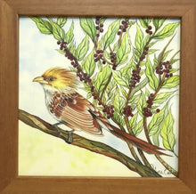 Carregar imagem no visualizador da galeria, Ilustração Anú-Branco, Pintura Pássaro, Quadro, Natureza, Decoração, Reprodução Original, Edição Limitada, Número de série, Fineart, Giclée