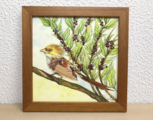 Carregar imagem no visualizador da galeria, Ilustração Anú-Branco, Pintura Pássaro, Quadro, Natureza, Decoração, Reprodução Original, Edição Limitada, Número de série, Fineart, Giclée