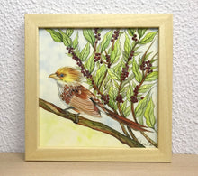 Carregar imagem no visualizador da galeria, Ilustração Anú-Branco, Pintura Pássaro, Quadro, Natureza, Decoração, Reprodução Original, Edição Limitada, Número de série, Fineart, Giclée