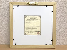 Carregar imagem no visualizador da galeria, Ilustração Anú-Branco, Pintura Pássaro, Quadro de pássaro, Decoração, Reprodução, Arte, Edição Limitada, Número de série, Papel Fotografia