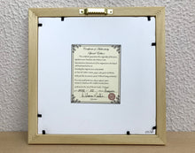 Carregar imagem no visualizador da galeria, Ilustração Araçarí, Pintura Pássaro, Quadro, Natureza, Decoração, Reprodução Original, Edição Limitada, Número de série, Fineart, Giclée