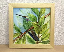 Carregar imagem no visualizador da galeria, Ilustração Beija-flôr, Pintura Pássaro, Quadro, Natureza, Decoração, Reprodução Original, Edição Limitada, Número de série, Fineart, Giclée