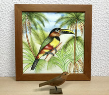 Carregar imagem no visualizador da galeria, Ilustração Araçarí, Pintura Pássaro, Quadro, Natureza, Decoração, Reprodução Original, Edição Limitada, Número de série, Fineart, Giclée