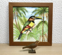 Carregar imagem no visualizador da galeria, Ilustração Araçarí, Pintura Pássaro, Quadro, Natureza, Decoração, Reprodução Original, Edição Limitada, Número de série, Fineart, Giclée