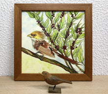 Carregar imagem no visualizador da galeria, Ilustração Anú-Branco, Pintura Pássaro, Quadro, Natureza, Decoração, Reprodução Original, Edição Limitada, Número de série, Fineart, Giclée