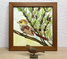 Carregar imagem no visualizador da galeria, Ilustração Anú-Branco, Pintura Pássaro, Quadro de pássaro, Decoração, Reprodução, Arte, Edição Limitada, Número de série, Papel Fotografia